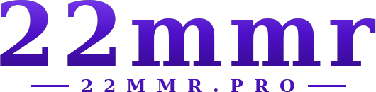 22mmr logo